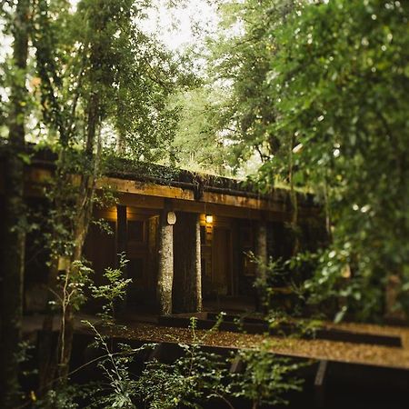 Huilo Huilo Nawelpi Lodge Puerto Fuy Exteriör bild