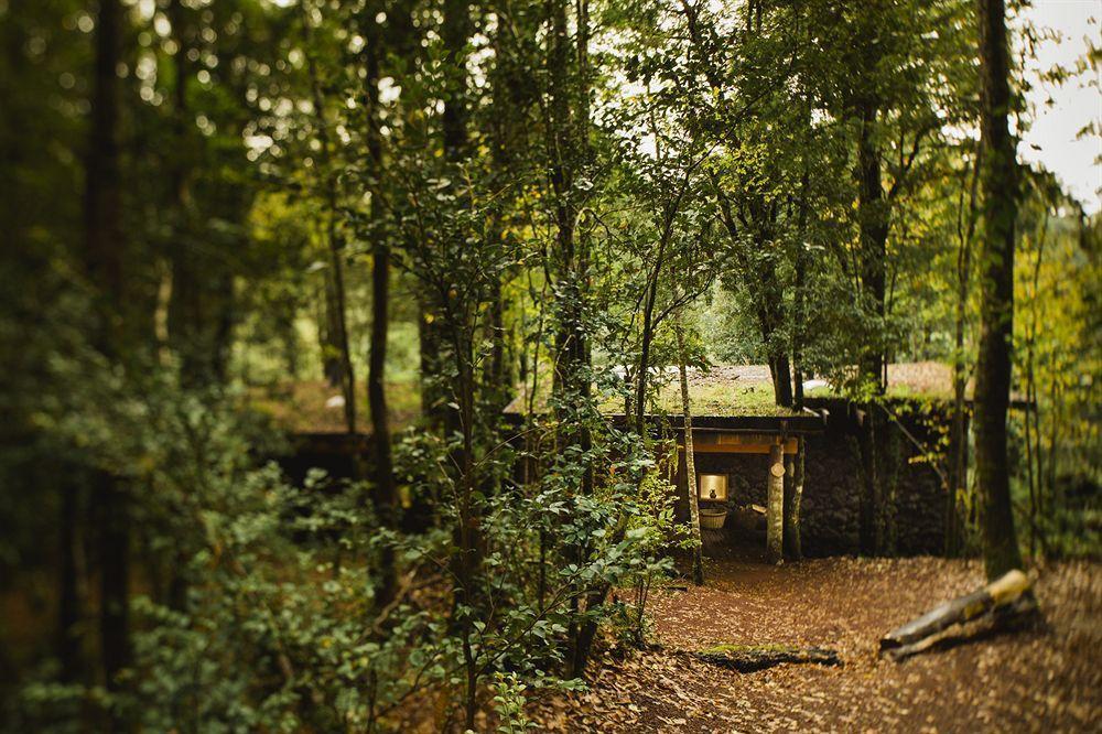 Huilo Huilo Nawelpi Lodge Puerto Fuy Exteriör bild