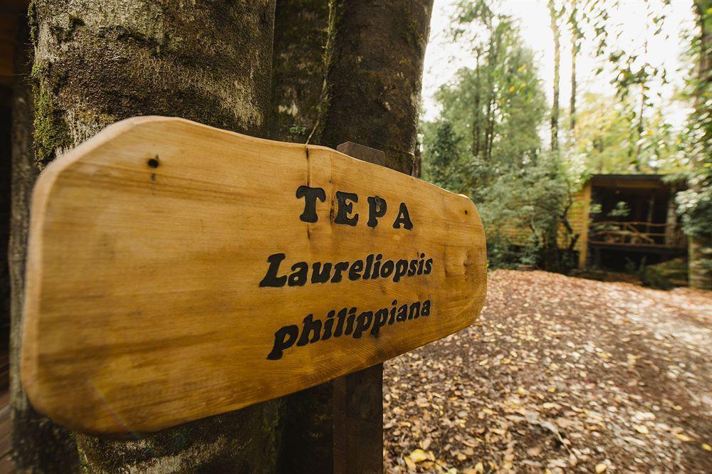 Huilo Huilo Nawelpi Lodge Puerto Fuy Exteriör bild