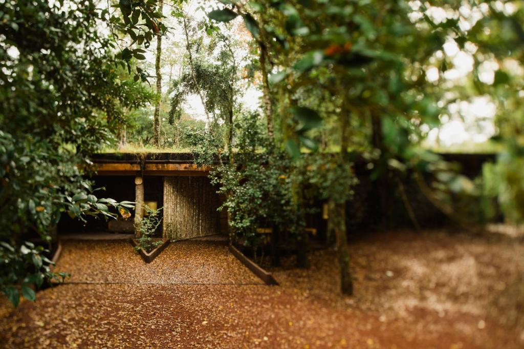Huilo Huilo Nawelpi Lodge Puerto Fuy Exteriör bild